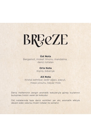 Breeze E2 Power Koku Kartuşu 125 Ml