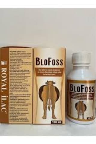 Blofoss Şurup 100ml