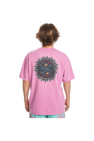 Quiksilver Quıksılver Spın Cycle Ss Erkek T-shirt Eqyzt07653-qk.pmp0 Pembe