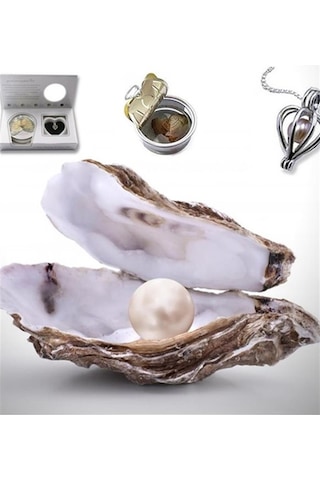 İstiridye İçinde Gerçek İnci Kolye 1260 Altın