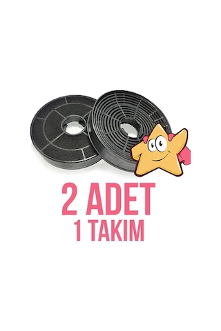 Altus Uyumlu Al 37 I / Al 37 Y Aspiratör Karbon Filtresi