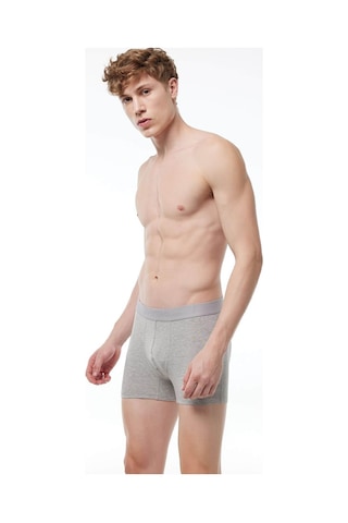 Malabadi 014 Erkek Modal Boxer-Gri