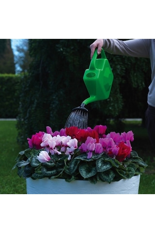 Dimartino Proline 5 Yağmurlama İbriği 5 Litre