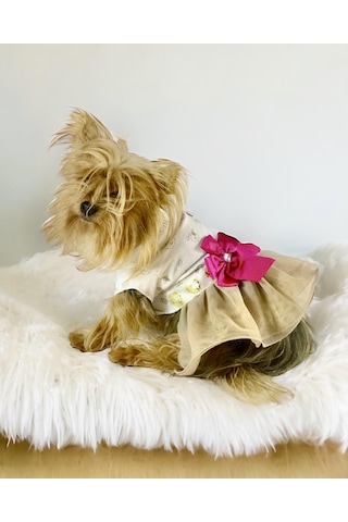 Kemique Creamy Fuchia Tütülü Köpek Elbisesi