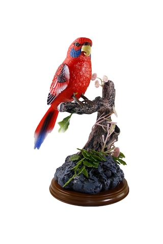 Vardem Kutulu Kalemlikli Papağan