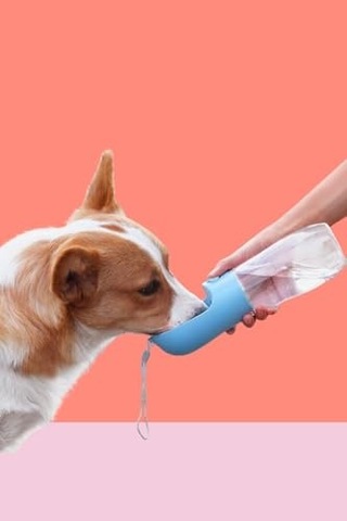 Nature's Protection Superior Care Beyaz Tüylü Kediler İçin Tahılsız Ringa Balıklı Kedi Sı 1,5 Kg