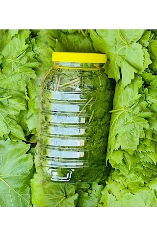 Taze Asma Yaprağı Yeni Sezon Pet 500 G
