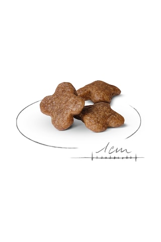 Royal Canin Mini Adult +8 Küçük Irk Yaşlı Köpek Maması 2 KG