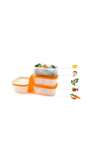 Tupperware Alaska Set 4'Lü 450 Ml Derin Dondurucu Buzluk Kabı Hsg N1140721