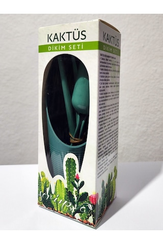 Tohhum Karışık Kaktüs Tohumu Ve Kaktüs Sukulent Ekim Bakım Seti