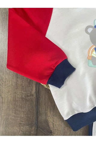 Teddy Ayıcık Baskılı Kapüşonlu Renkli Kol Detaylı Erkek Bebek Takım Açık Lacivert