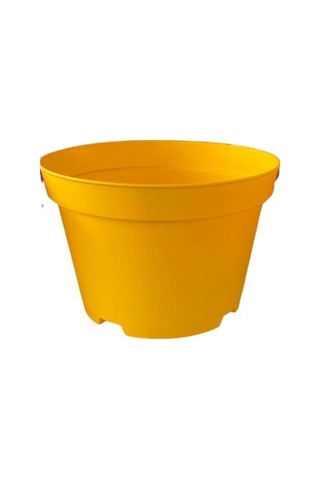 Katı Plastik Sukulent Saksısı 15 Adet Sarı 8.5 Cm