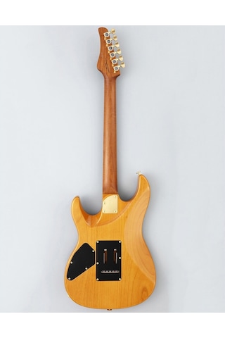 Fujigen Odyssey Elektro Gitar Eos2duew2rm/vnt