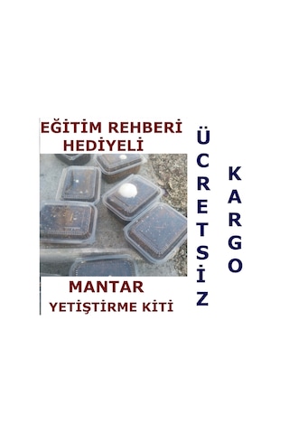 4 Adet KüLür Mantarı Yetiştiriciliği Deneme Kiti