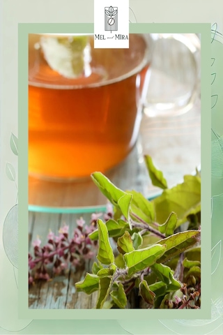 Loose Leaf Tulsi 25 Gr, Hint Fesleğeni Bitki Çayı