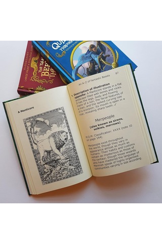 Fantastic Beasts And Where To Find Them: Large Print Dyslexia Edition