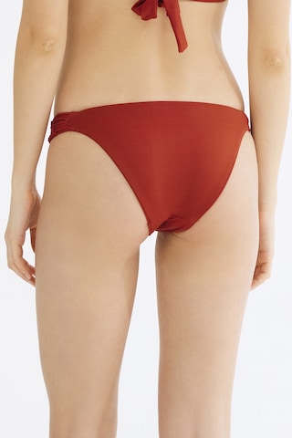 Penti Basic Macrame Bikini Altı Plıtvhru20ıy-rg6