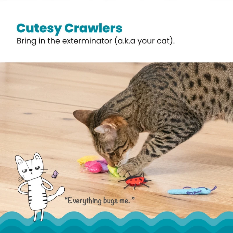 Catstages Cute As A Bug Böcek Şeklinde Catnip'li Kedi Çiğneme Oyuncağı 6'lı Paket