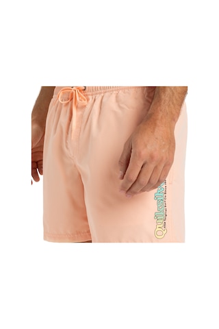 Quıksılver Quiksilver Spl Fineline 15 Erkek Volley Short Mef0 Çok Renkli