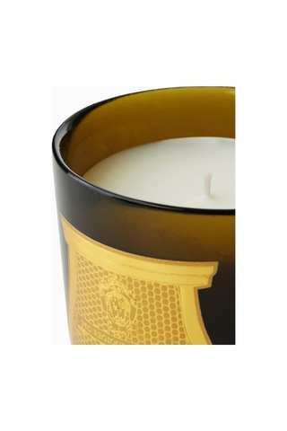 Trudon Cyrnos Classic Lüks Kokulu Mum Yeşil