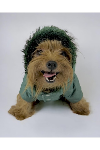 Kemique Green Comfy Köpek Montu Ceketi Köpek Dış Giyim