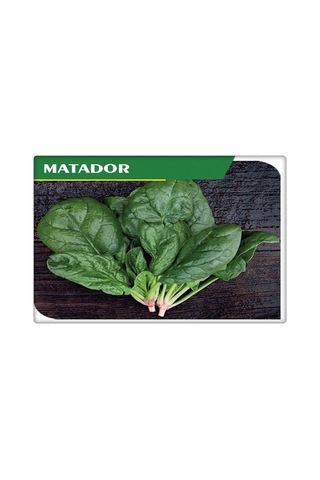 Ispanak Tohumu İthal Matador Çeşidi 250 GR