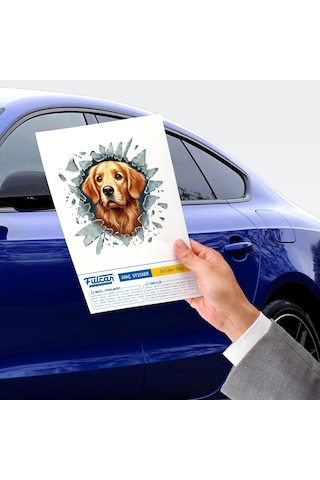 Fulcar Golden Araç Stickerı Diğer