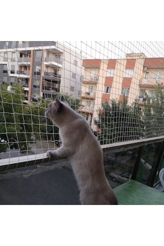 Nzl File Ambalaj Balkon Filesi - Kuş Filesi - Kedi Filesi - Kedi Ağı - 2 CM Gözenekli - 1.5 Mm İp