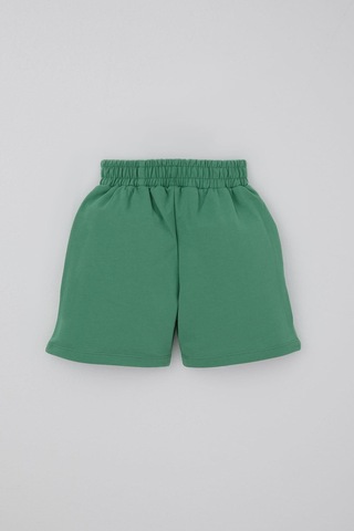 Breeze Erkek Çocuk Şort Bağcık Aksesuarlı Cepli 3-7 Yaş, Mint Yeşili