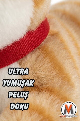 Sevimli Peluş Yavru Kedi 35 Cm Sesli Miyavlayan Oyuncak Uyku Ve Oyun Arkadaşı 4 Renk Seçeneği 1471680