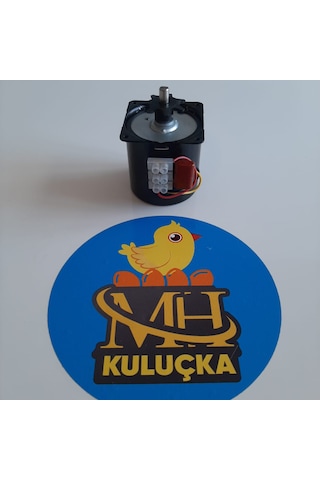 Kuluçka Çevirme Motoru 60ktyz Ac220v 2.5rpm 14w Senkron Motor