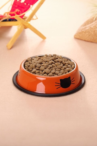 Paslanmaz Çelik Kedi Köpek Mama ve Su Kabı 180 ML Cin570tr