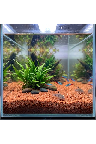 Kanki Pet Kırmızı Kuvars Akvaryum Kumu 2-3 Mm 1 Kg - Doğal Ve Estetik Dekoratif Kum