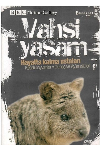 Bbc Motion Gallery - Vahşi Yaşam Hayatta Kalma Ustaları Keseli Hayvanlar Güneş Ve Ay'ın Etkileri - Dvd