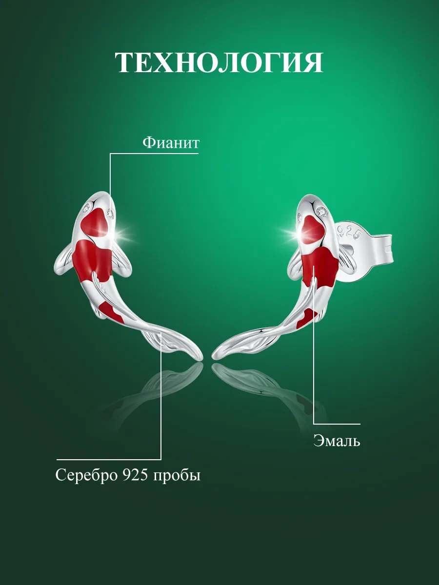 Bamoer 925 Ayar Gümüş Mücevher Küpeler 188655304 Diğer