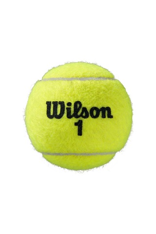 Wilson Tenis Topu Roland Garros Clay Ct 4 Ball Wrt115000