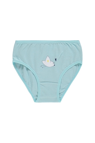 Civil Girls Kız Çocuk Cute Bird 2-12 Yaş 2'li Külot - Standart
