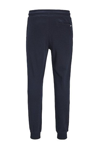 Jack & Jones Lastikli Paça Lacivert Erkek Eşofman Altı 12165322