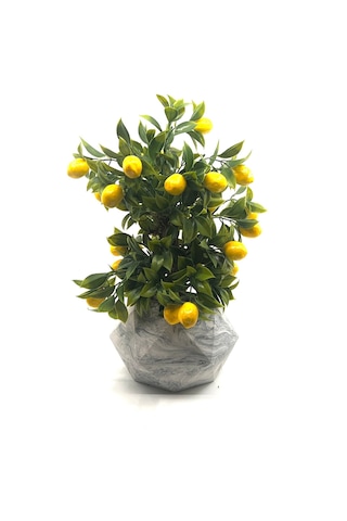 Geometrik Mermer Desenli Beton Saksıda Limon Ağacı Sarı - Yeşil