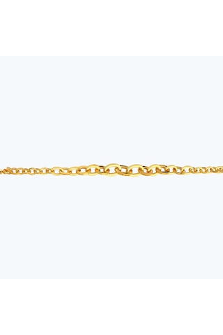 Altınbaş 22 Ayar Altın Zincir Bileklik Bbl0021-25924 Çok Renkli