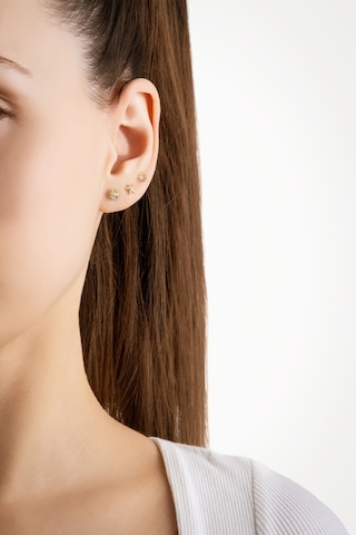 Deniz İkonları 18 Ayar Sarı Altın Kaplama Gümüş Çoklu Küpe Sarı