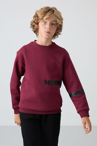 Erguvan Pamuklu Kalın İçi Tüylü Yumuşak Dokulu Standart Fit Baskılı Erkek Çocuk Sweatshirt - 11238 Mor