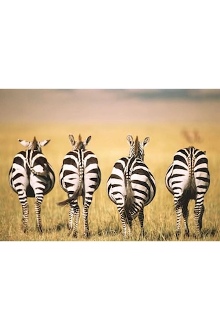 Ravensburger Zebra Puzzle 300 Parça