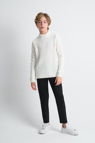 Alexandergardı Boğazlı Uzun Kollu Triko Çocuk Kazak Ekru