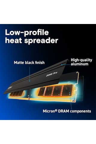 Crucial Pro CP64G56C46U5 64 GB Ddr5-5600 Udımm Cl46 Masaüstü Pc Ram Bellek