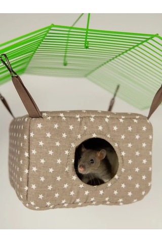 Loorı Kemirgenler İçin Pencereli Ev 19x19x12 Cm Asılı 165654310