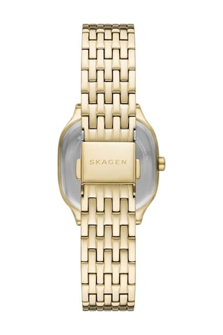 Skagen Watches Skw3162 Kadın Kol Saati Altın