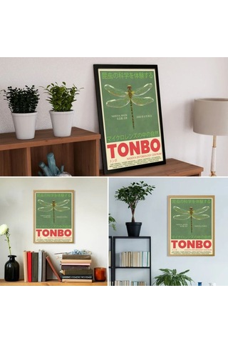 Tonbo Yusufçuk Dragonfly Delight Classy Şans Poster Çerçevesiz
