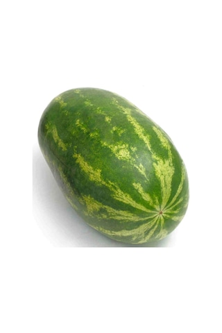 Meşhur Diyarbakır Karpuzu Tohumu 5 Adet Tohum Karpuz Tohumu