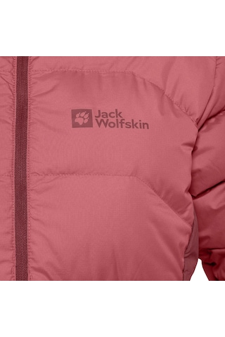 Jack Wolfskin Jack Wolfskın Ather Down Jkt W Rqs0 Çok Renkli